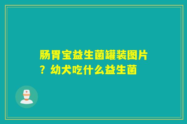 详细阅读:肠胃宝益生菌罐装图片?幼犬吃什么益生菌 肠胃宝益生菌罐装图片?幼犬吃什么益生菌