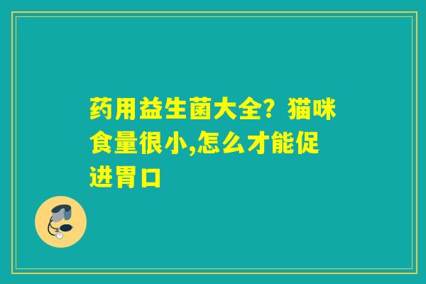 药用益生菌大全？猫咪食量很小,怎么才能促进胃口