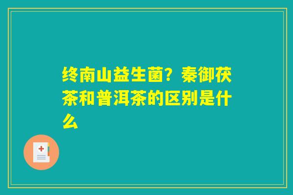 终南山益生菌？秦御茯茶和普洱茶的区别是什么