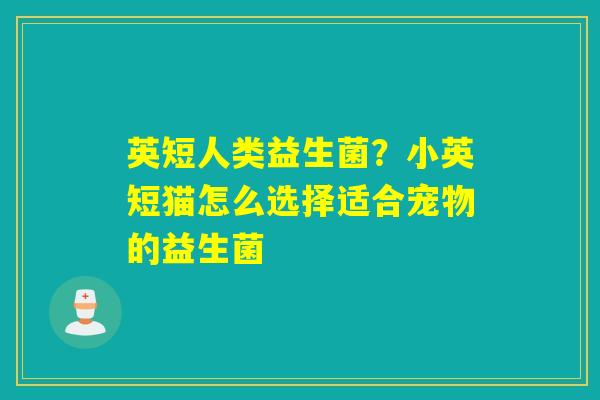 英短人类益生菌?小英短猫怎么选择适合宠物的益生菌 英短人类益生菌?小英短猫怎么选择适合宠物的益生菌
