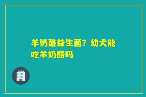 详细阅读:羊奶酪益生菌?幼犬能吃羊奶酪吗 羊奶酪益生菌?幼犬能吃羊奶酪吗