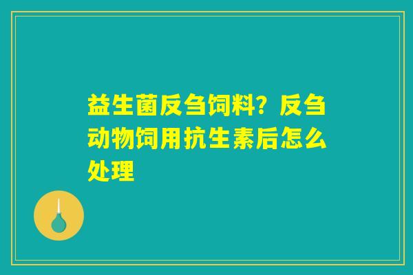 益生菌反刍饲料?反刍动物饲用抗生素后怎么处理 益生菌反刍饲料?反刍动物饲用抗生素后怎么处理