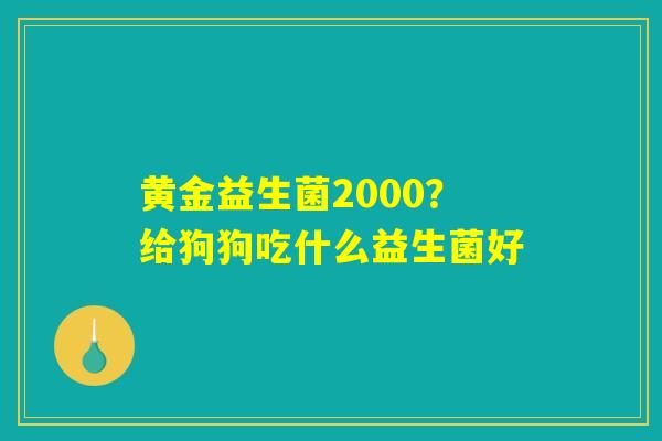 详细阅读:黄金益生菌2000?给狗狗吃什么益生菌好 黄金益生菌2000?给狗狗吃什么益生菌好