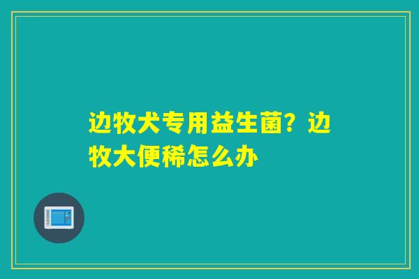 详细阅读:边牧犬专用益生菌?边牧大便稀怎么办 边牧犬专用益生菌?边牧大便稀怎么办