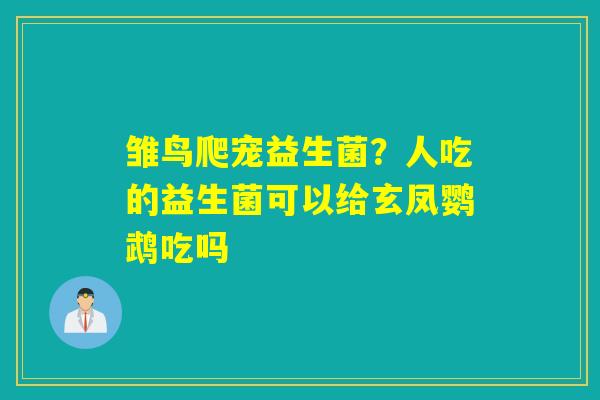 雏鸟爬宠益生菌？人吃的益生菌可以给玄凤鹦鹉吃吗