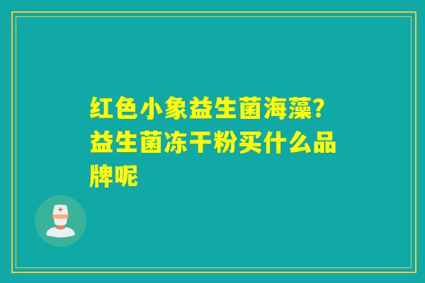 红色小象益生菌海藻?益生菌冻干粉买什么品牌呢 红色小象益生菌海藻?益生菌冻干粉买什么品牌呢