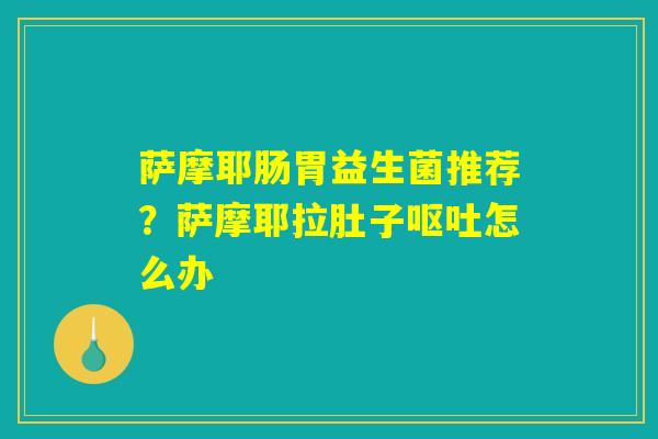 萨摩耶肠胃益生菌推荐？萨摩耶拉肚子呕吐怎么办