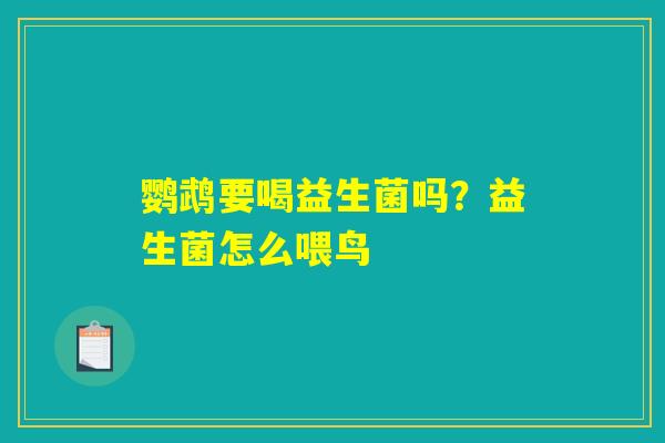 鹦鹉要喝益生菌吗?益生菌怎么喂鸟 鹦鹉要喝益生菌吗?益生菌怎么喂鸟