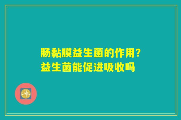 肠黏膜益生菌的作用？益生菌能促进吸收吗