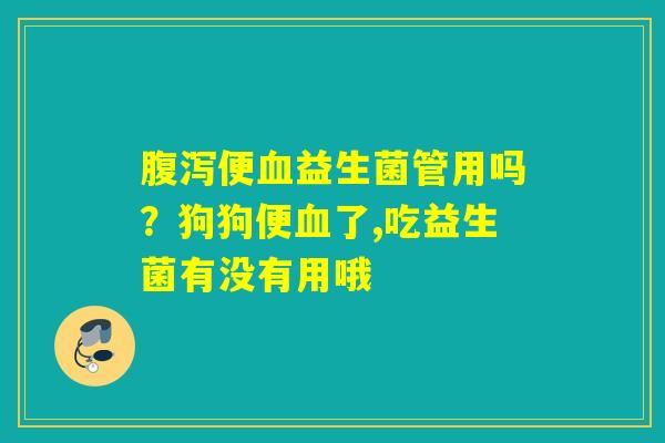 便益生菌管用吗?狗狗便了,吃益生菌有没有用哦 便益生菌管用吗?狗狗便了,吃益生菌有没有用哦