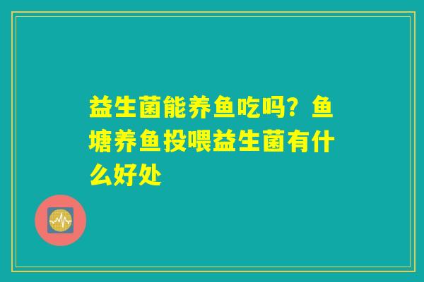 益生菌能养鱼吃吗?鱼塘养鱼投喂益生菌有什么好处 益生菌能养鱼吃吗?鱼塘养鱼投喂益生菌有什么好处