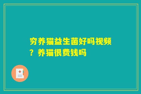 穷养猫益生菌好吗视频？养猫很费钱吗