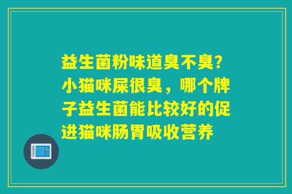 益生菌粉味道臭不臭？小猫咪屎很臭，哪个牌子益生菌能比较好的促进猫咪肠胃吸收营养