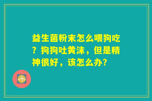 益生菌粉末怎么喂狗吃?狗狗吐黄沫,但是精神很好,该怎么办? 益生菌粉末怎么喂狗吃?狗狗吐黄沫,但是精神很好,该怎么办?