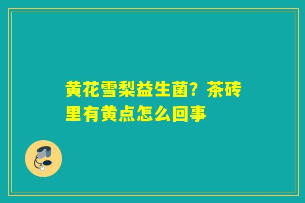 黄花雪梨益生菌？茶砖里有黄点怎么回事