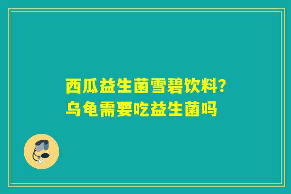 西瓜益生菌雪碧饮料？乌龟需要吃益生菌吗