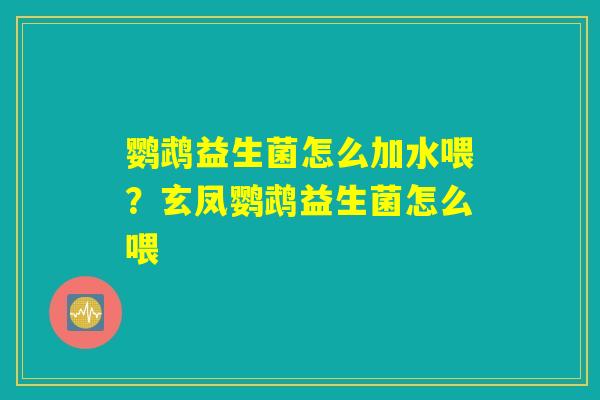 鹦鹉益生菌怎么加水喂？玄凤鹦鹉益生菌怎么喂