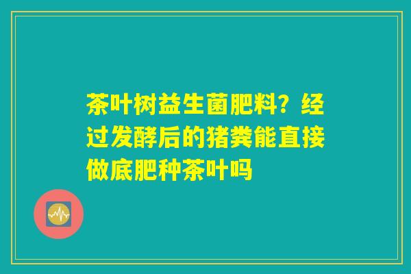 茶叶树益生菌肥料？经过发酵后的猪粪能直接做底肥种茶叶吗