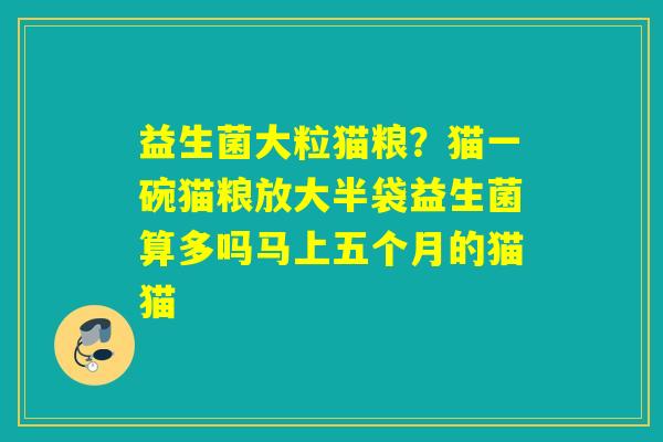 益生菌大粒猫粮?猫一碗猫粮放大半袋益生菌算多吗马上五个月的猫猫 益生菌大粒猫粮?猫一碗猫粮放大半袋益生菌算多吗马上五个月的猫猫