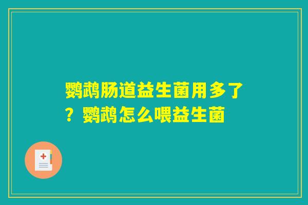 鹦鹉肠道益生菌用多了?鹦鹉怎么喂益生菌 鹦鹉肠道益生菌用多了?鹦鹉怎么喂益生菌