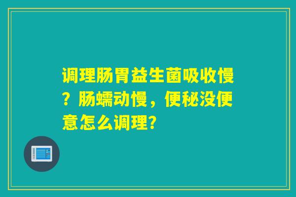 调理肠胃益生菌吸收慢?肠蠕动慢,没便意怎么调理? 调理肠胃益生菌吸收慢?肠蠕动慢,没便意怎么调理?