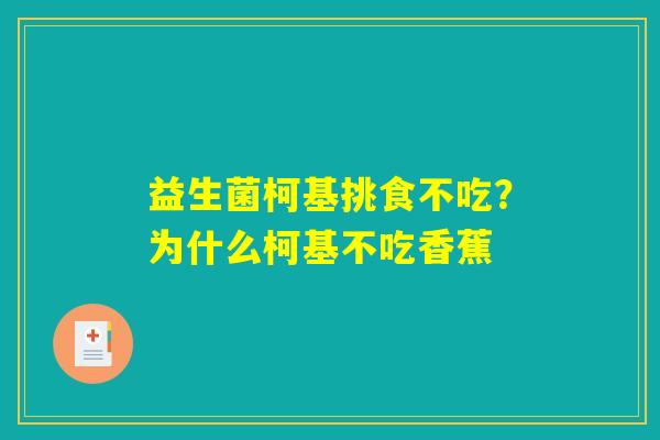 详细阅读:益生菌柯基挑食不吃?为什么柯基不吃香蕉 益生菌柯基挑食不吃?为什么柯基不吃香蕉