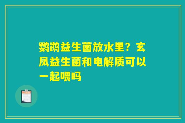 详细阅读:鹦鹉益生菌放水里?玄凤益生菌和电解质可以一起喂吗 鹦鹉益生菌放水里?玄凤益生菌和电解质可以一起喂吗