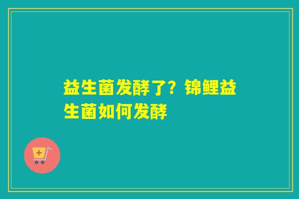 益生菌发酵了?锦鲤益生菌如何发酵 益生菌发酵了?锦鲤益生菌如何发酵