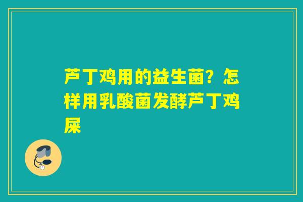 详细阅读:芦丁鸡用的益生菌?怎样用乳酸菌发酵芦丁鸡屎 芦丁鸡用的益生菌?怎样用乳酸菌发酵芦丁鸡屎