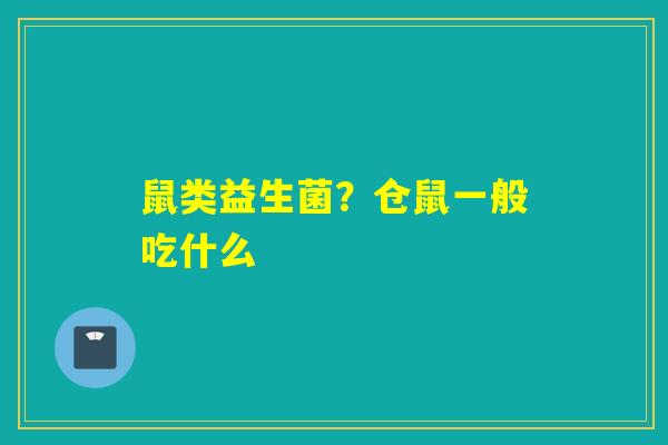 鼠类益生菌?仓鼠一般吃什么 鼠类益生菌?仓鼠一般吃什么