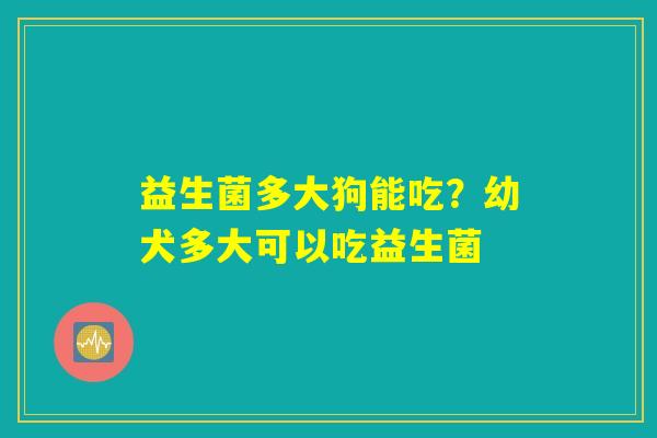 益生菌多大狗能吃？幼犬多大可以吃益生菌