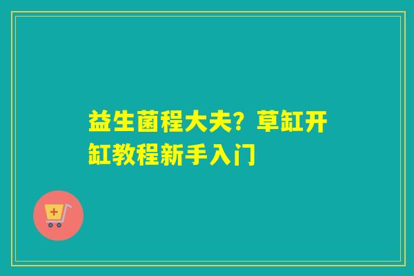 益生菌程大夫？草缸开缸教程新手入门