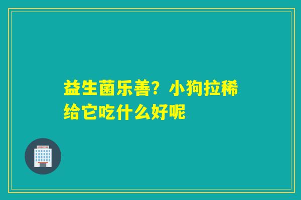 详细阅读:益生菌乐善?小狗拉稀给它吃什么好呢 益生菌乐善?小狗拉稀给它吃什么好呢