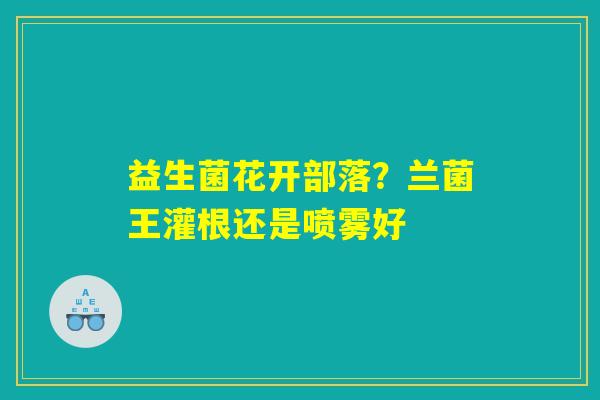详细阅读:益生菌花开部落?兰菌王灌根还是喷雾好 益生菌花开部落?兰菌王灌根还是喷雾好