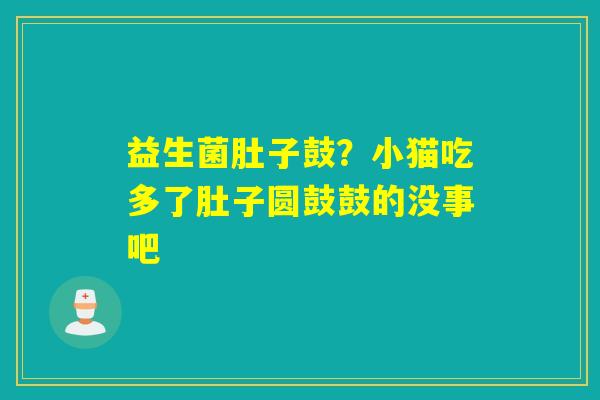 益生菌肚子鼓？小猫吃多了肚子圆鼓鼓的没事吧