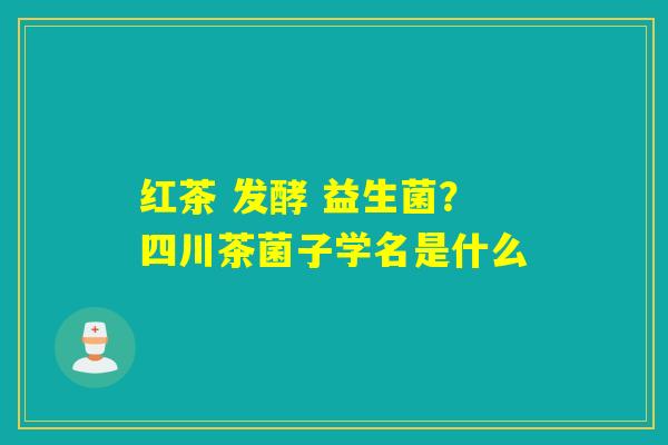 详细阅读:红茶 发酵 益生菌?四川茶菌子学名是什么 红茶 发酵 益生菌?四川茶菌子学名是什么