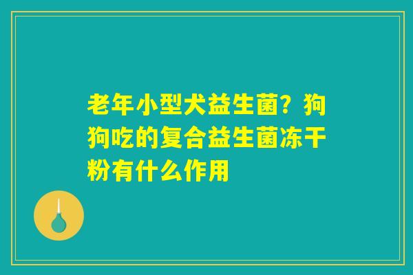 详细阅读:老年小型犬益生菌?狗狗吃的复合益生菌冻干粉有什么作用 老年小型犬益生菌?狗狗吃的复合益生菌冻干粉有什么作用
