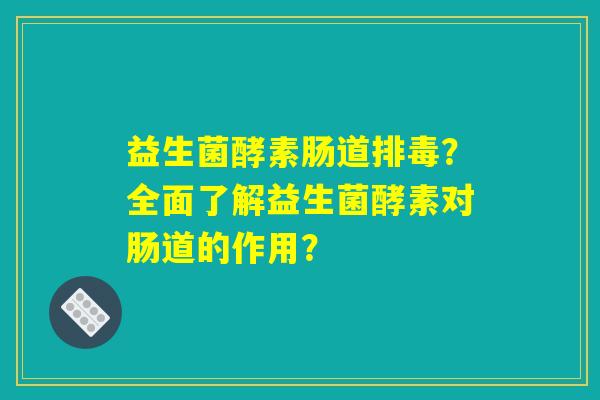益生菌酵素肠道排毒？全面了解益生菌酵素对肠道的作用？