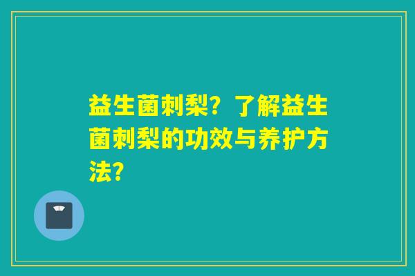 益生菌刺梨？了解益生菌刺梨的功效与养护方法？