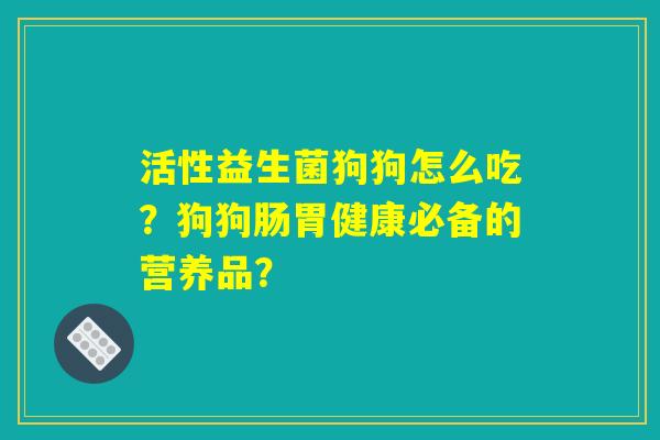 活性益生菌狗狗怎么吃？狗狗肠胃健康必备的营养品？
