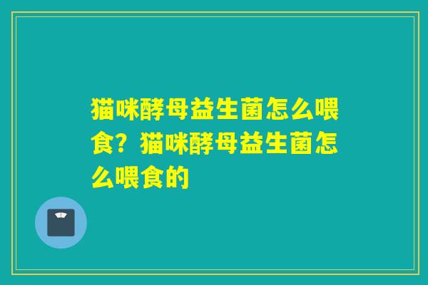 猫咪酵母益生菌怎么喂食？猫咪酵母益生菌怎么喂食的