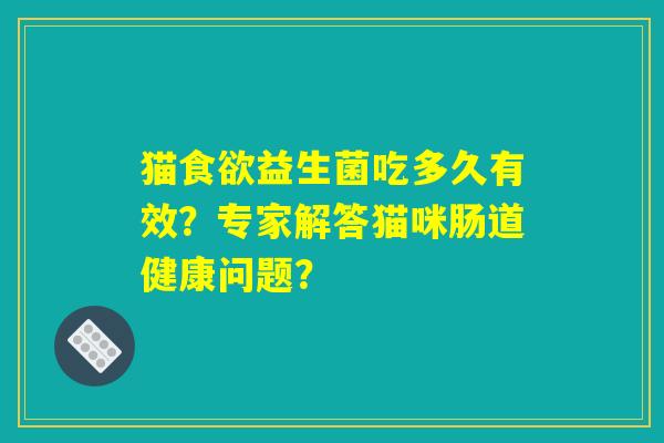 猫食欲益生菌吃多久有效？专家解答猫咪肠道健康问题？