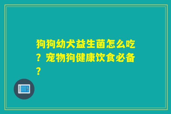 狗狗幼犬益生菌怎么吃？宠物狗健康饮食必备？