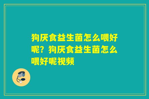 狗厌食益生菌怎么喂好呢?狗厌食益生菌怎么喂好呢视频 狗厌食益生菌怎么喂好呢?狗厌食益生菌怎么喂好呢视频