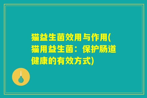猫益生菌效用与作用(猫用益生菌：保护肠道健康的有效方式)