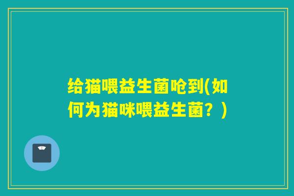 给猫喂益生菌呛到(如何为猫咪喂益生菌？)