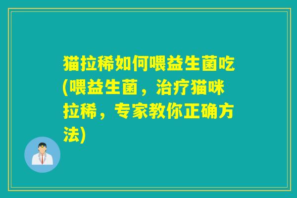 猫拉稀如何喂益生菌吃(喂益生菌，治疗猫咪拉稀，专家教你正确方法)