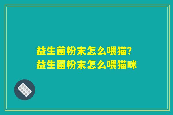 益生菌粉末怎么喂猫？益生菌粉末怎么喂猫咪