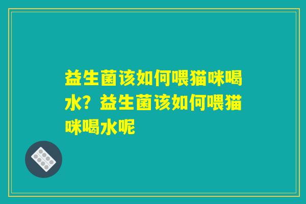 益生菌该如何喂猫咪喝水？益生菌该如何喂猫咪喝水呢