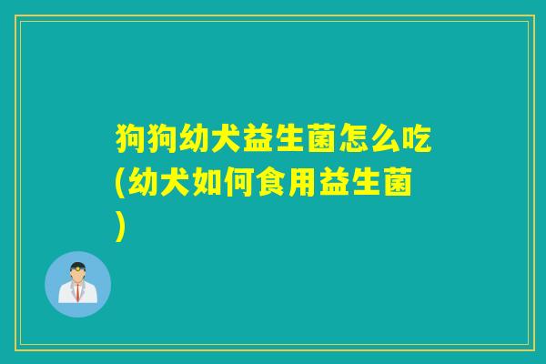 狗狗幼犬益生菌怎么吃(幼犬如何食用益生菌)